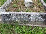 image of grave number 510113
